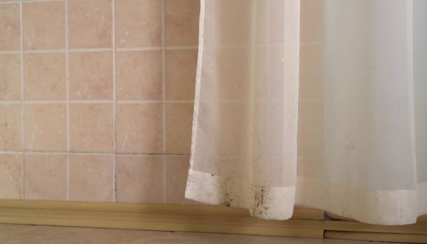 Best Indoor Air Quality Assessment  in New London, IA