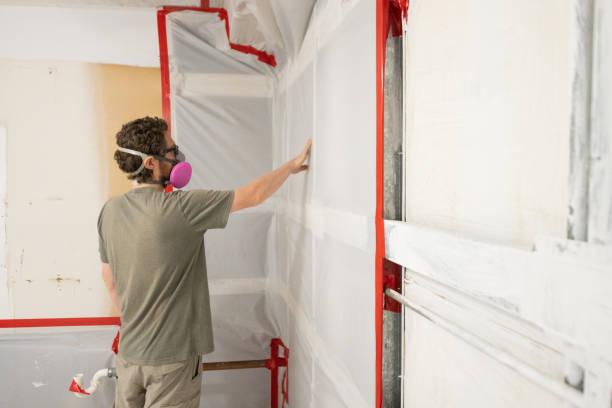 Best Real Estate Mold Inspection  in New London, IA