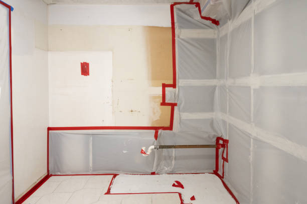 Best Emergency Mold Remediation  in New London, IA