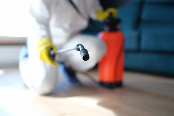Best Crawl Space Mold Remediation  in New London, IA
