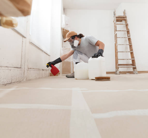 Best Mold-Related Health Consultation  in New London, IA